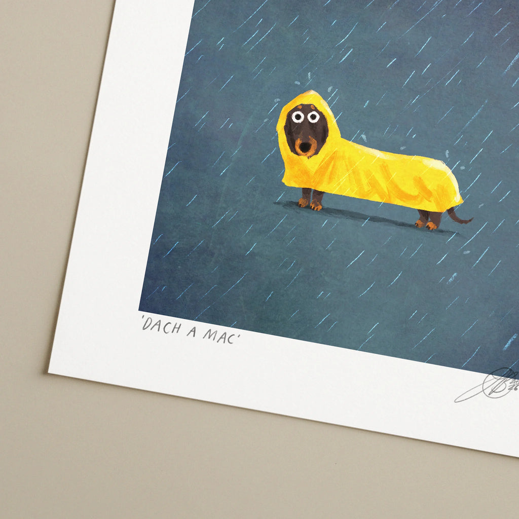 Dach A Mac