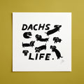 Dachs Life