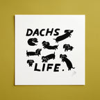 Dachs Life