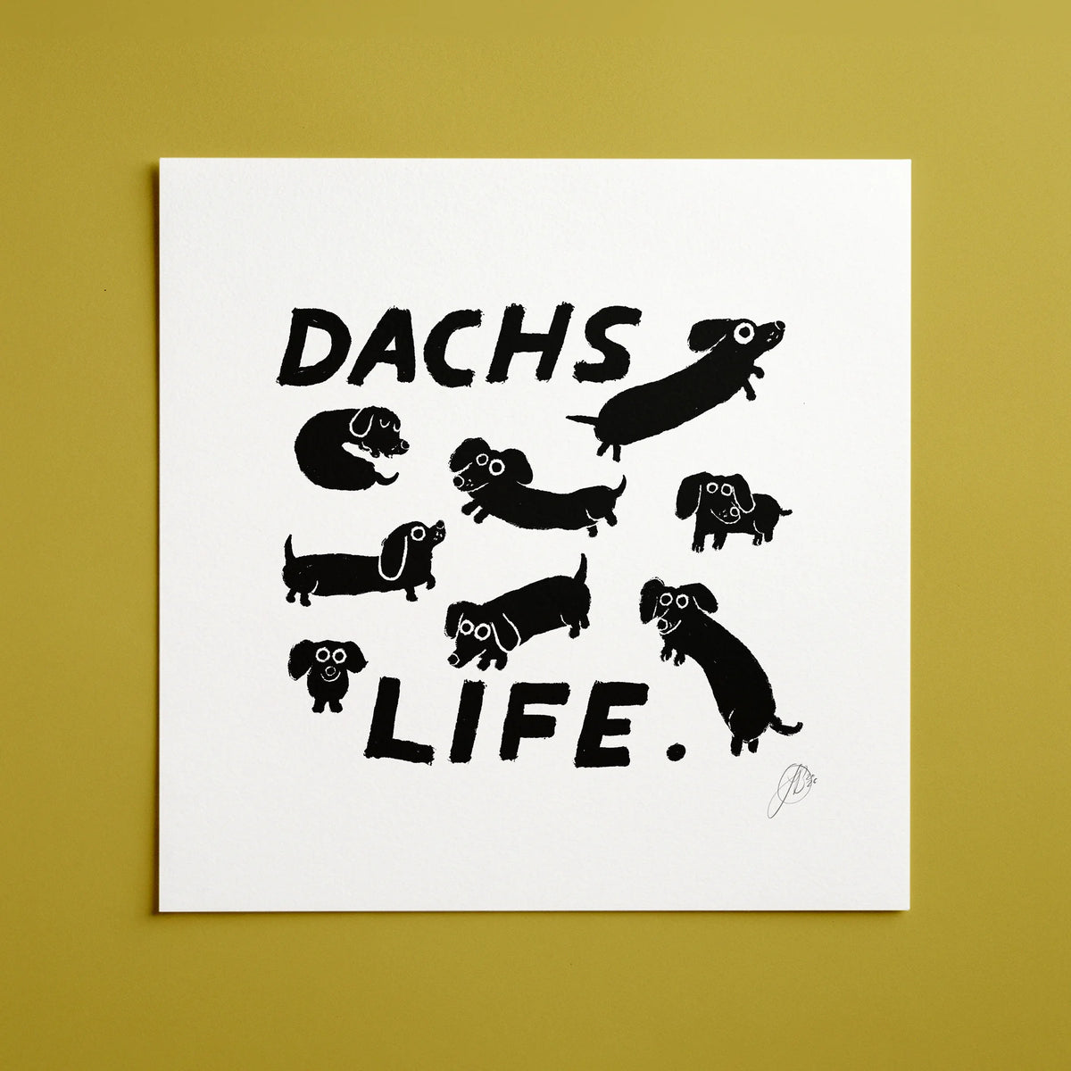 Dachs Life