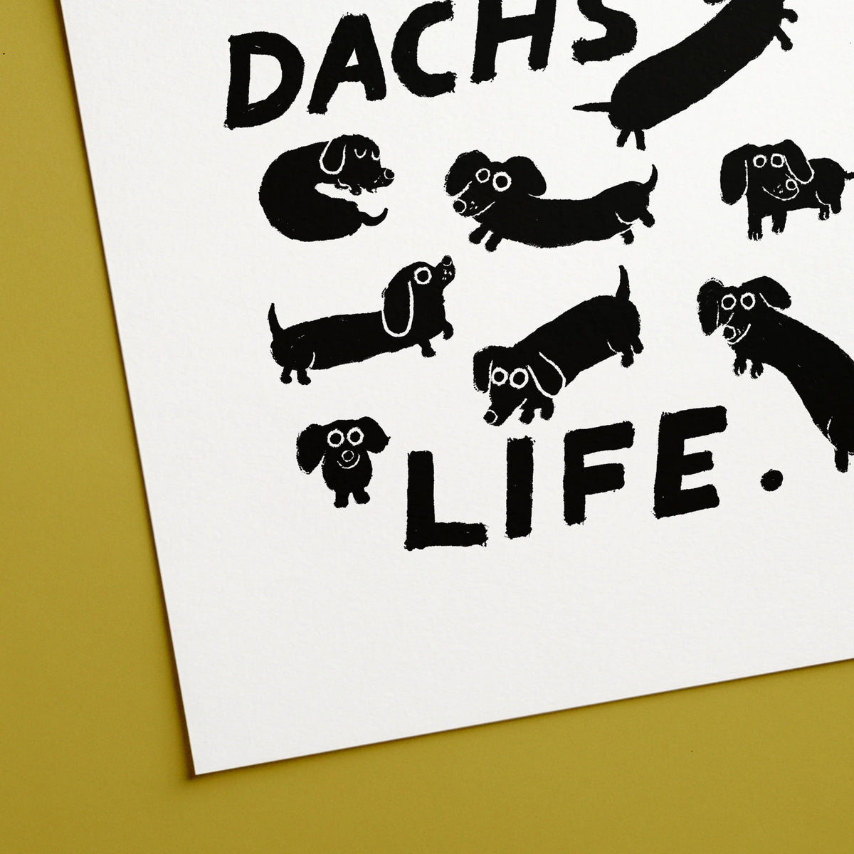 Dachs Life