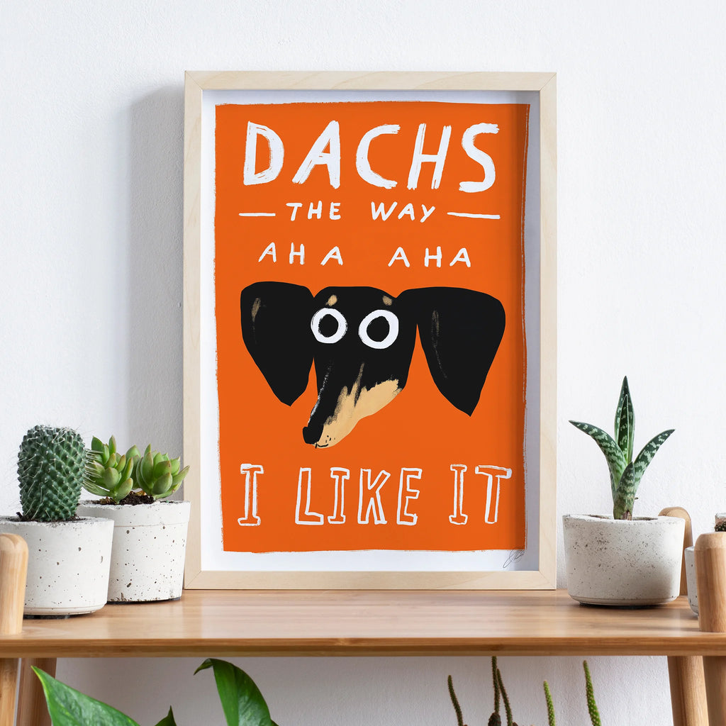 Dachs The Way