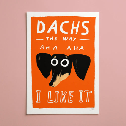 Dachs The Way
