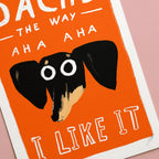 Dachs The Way