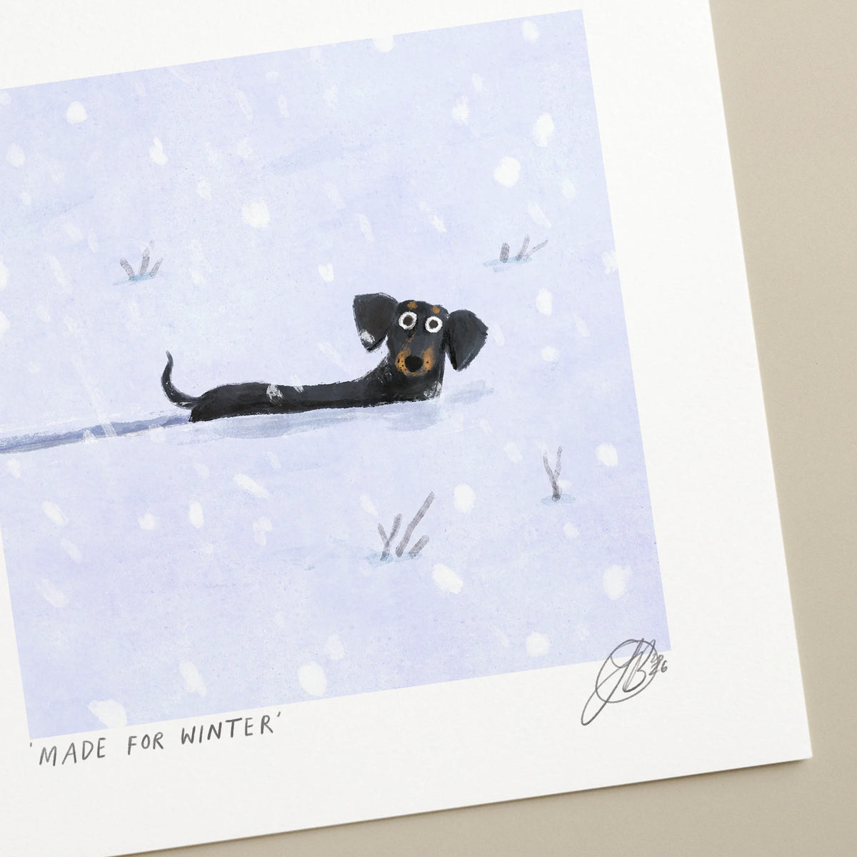 Made For Winter