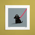 Vader