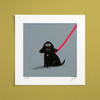 Vader